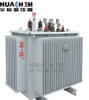 11kv Load Capacity Steel Oil Immersed Distribution Transformer